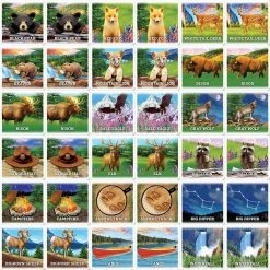 Flash Sale ✨ Masterpieces Jr Ranger National Parks Matching Game ✔️ 7 Flash Sale ✨ Masterpieces Jr Ranger National Parks Matching Game ✔️ -Home & Toys Online store 0040289 2