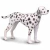 Brand new 🤩 Breyer Dalmatian ⭐