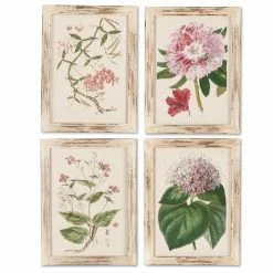 Top 10 ⭐ Lone Elm Studios Botanical Series Framed Wall Art Set Of 4 🎁