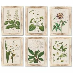 Promo 🤩 Lone Elm Studios Framed White Botanical Series Wall Art ⭐