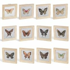 Deals 🛒 Lone Elm Studios Framed Butterfly Wall Art Set Of 12 ⌛